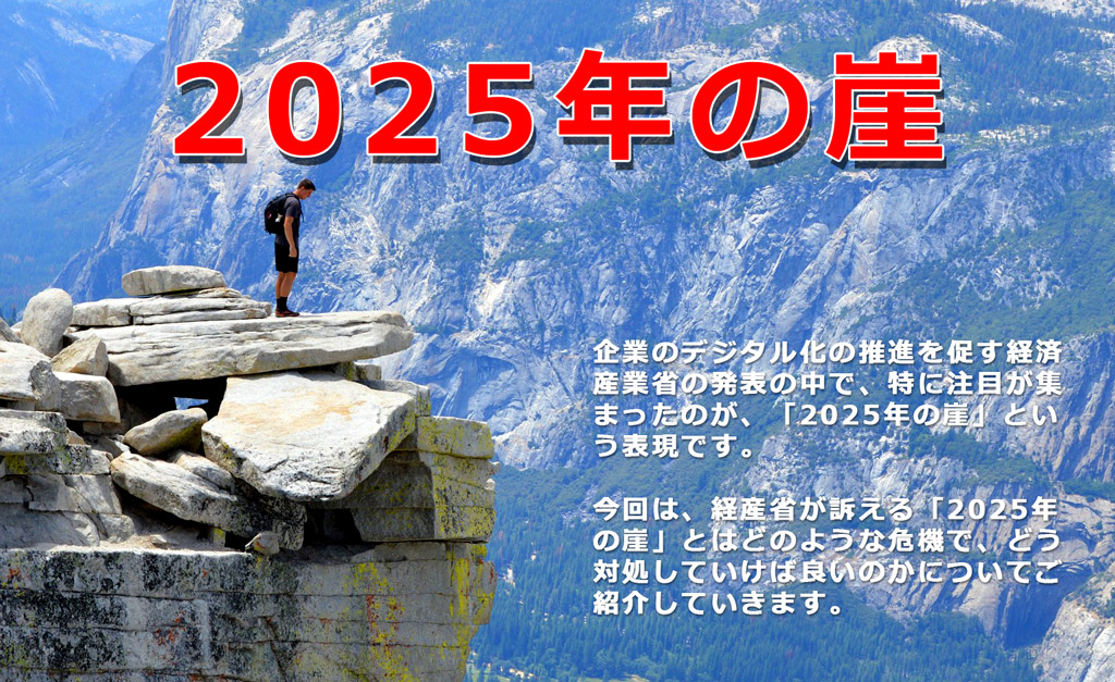 経産省が警鐘を鳴らす「2025年の崖」とは?わかりやすく解説